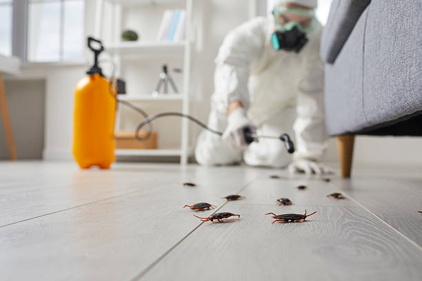 Trusted Fumigation Services service in Clayton, NJ - Nex Pest Control