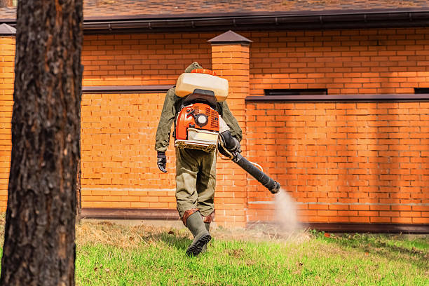 Trusted Ant Control service in Clayton, NJ - Nex Pest Control